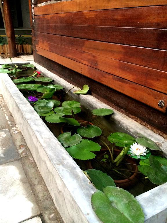 Hostel Green House Backpacker Čiang Mai Exteriér fotografie